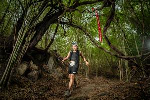 BIB: 
                            <button type="button" onclick="openModal(22178672)" class="btn btn-primary btn-sm float-right btn-popup" data-toggle="modal" data-target=".modal-high-quality">
                        <i class="fas fa-shopping-cart"></i> Add to Cart
                    </button>
                                            <button type="button" onclick="isThisMe(22178672, true)" class="btn btn-success btn-sm float-right btn-popup btn-isme hidden" data-toggle="tooltip" data-placement="bottom" title="นี่คือรูปของคุณใช่ไหม คลิกที่นี่เพื่อเอาเข้าอัลบั้ม">
                        <i class="fas fa-plus"></i> Add to album
                    </button>
                    <button type="button" onclick="isThisMe(22178672, false)" class="btn btn-warning btn-sm float-right btn-popup btn-isnotme hidden">
                        <i class="fas fa-ban"></i> Remove from album
                    </button>